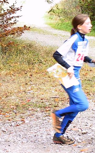 Images/tom24.jpg