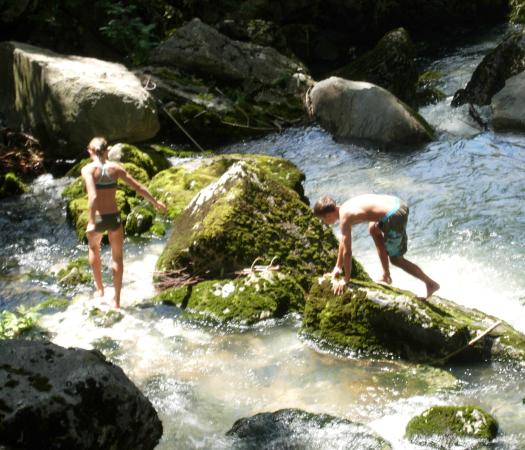 Images/slov0944.jpg
